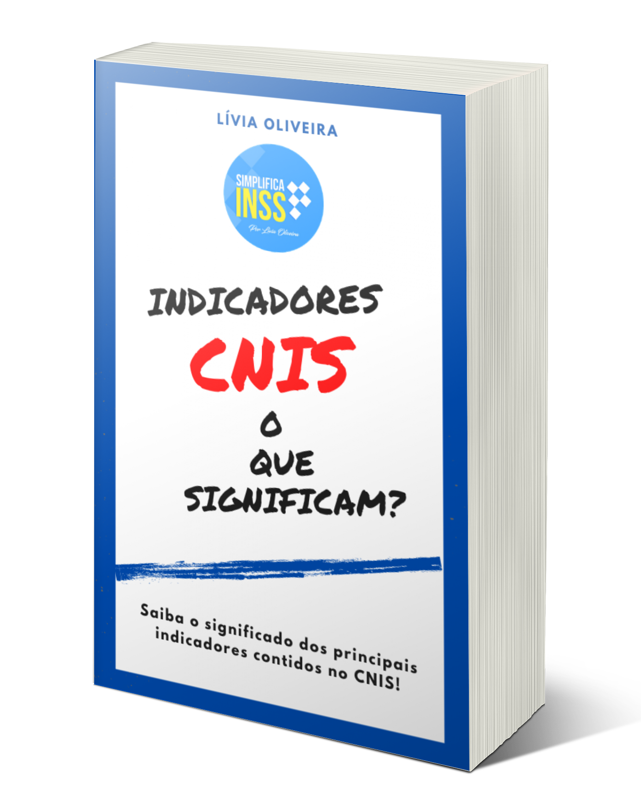 Ebook Indicadores CNIS